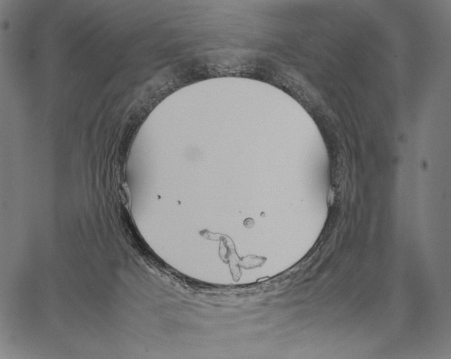 X0000066940025200604211801