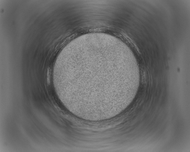 X0000066940026200604211801