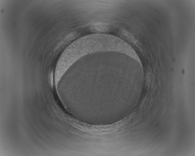 X0000066940027200604211801