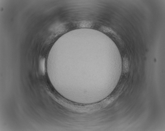 X0000066940028200604211801