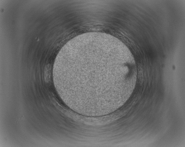 X0000066940030200604211801