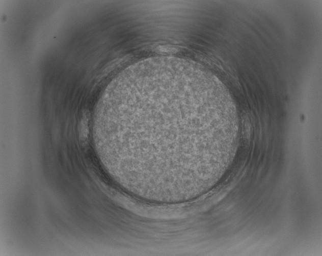 X0000066940032200604211801