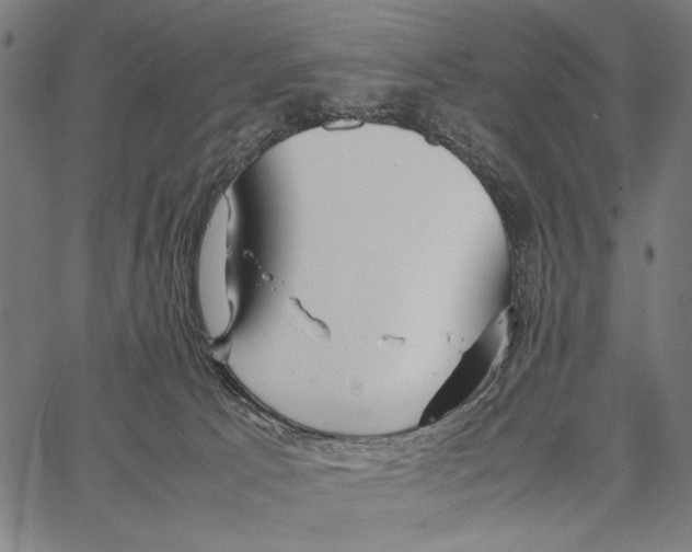 X0000066940033200604211801