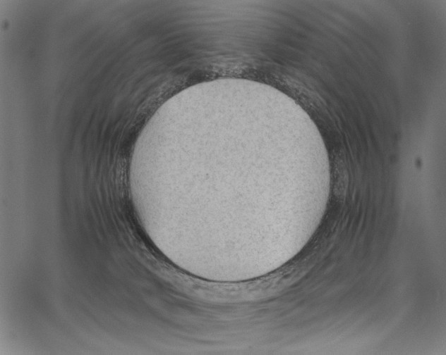 X0000066940034200604211801