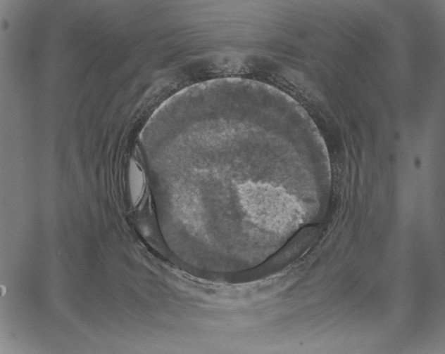 X0000066940035200604211801