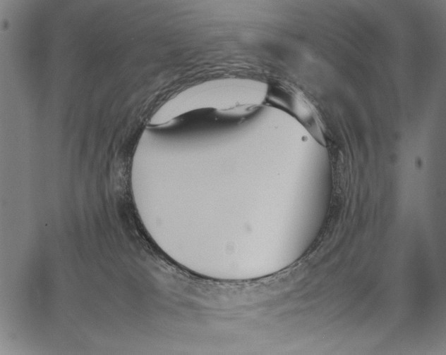 X0000066940037200604211801