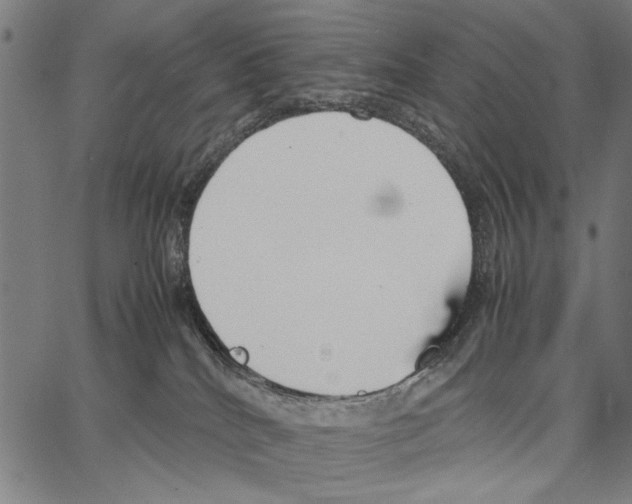 X0000066940040200604211801