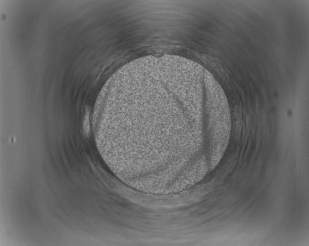 X0000066940042200604211801