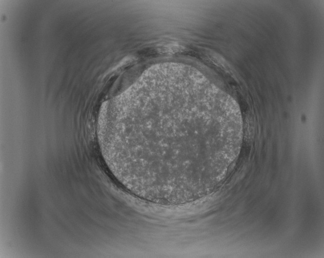 X0000066940043200604211801