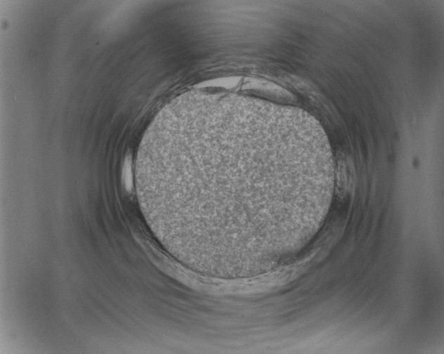 X0000066940046200604211801