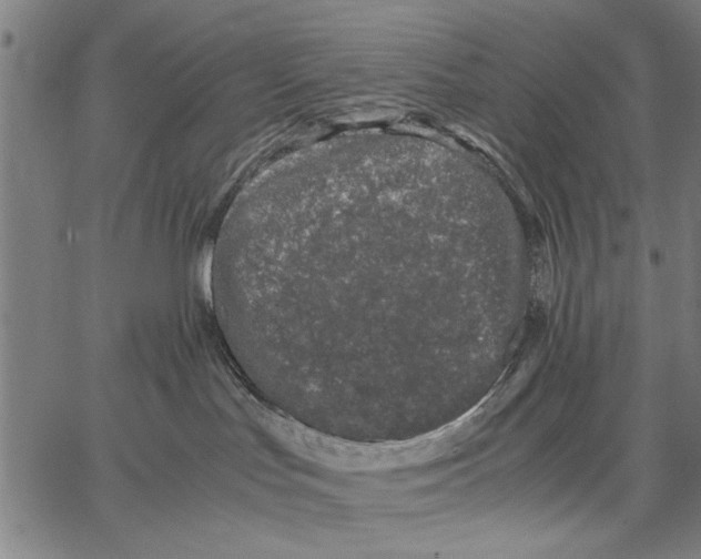 X0000066940047200604211801