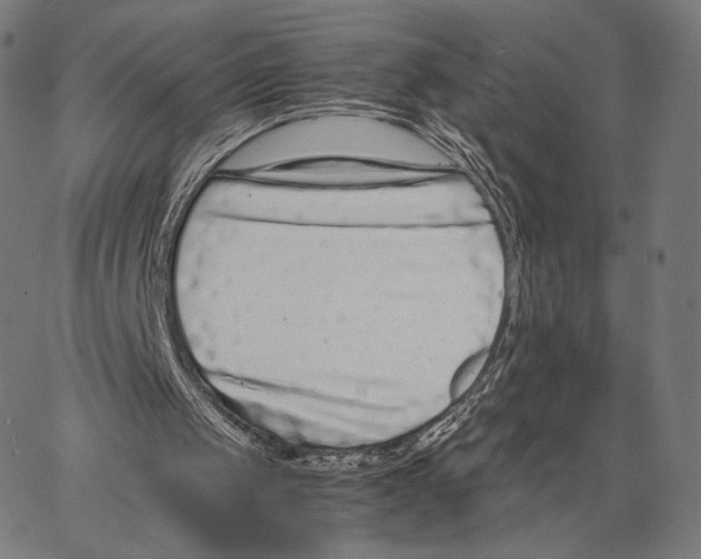 X0000066940049200604211800