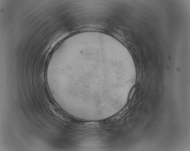 X0000066940050200604211800