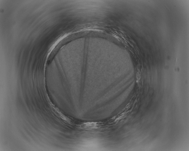 X0000066940052200604211800