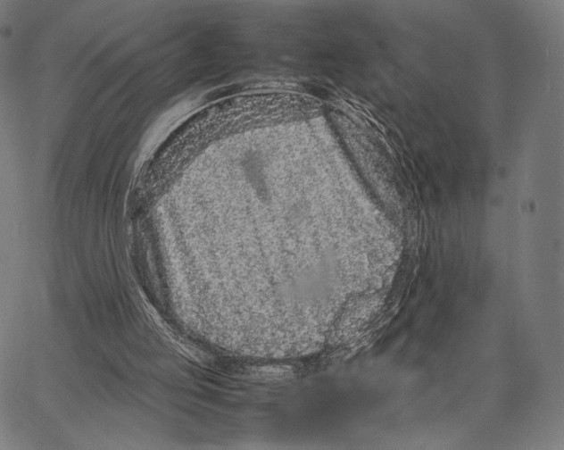 X0000066940053200604211800