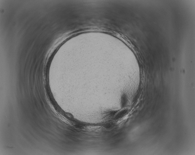 X0000066940055200604211800