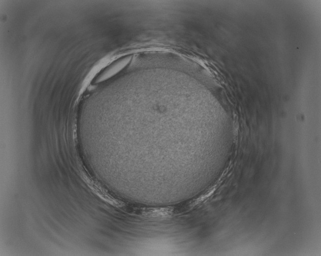 X0000066940056200604211800