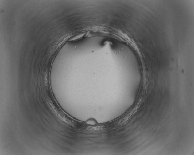 X0000066940057200604211800