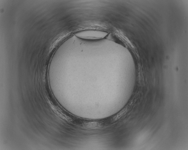 X0000066940058200604211800