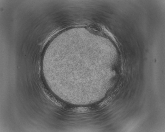 X0000066940059200604211800