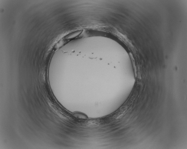 X0000066940060200604211800