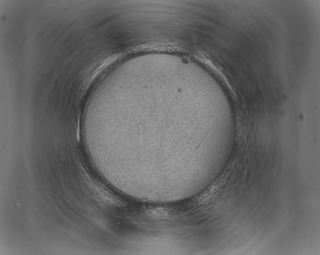 X0000066940062200604211800