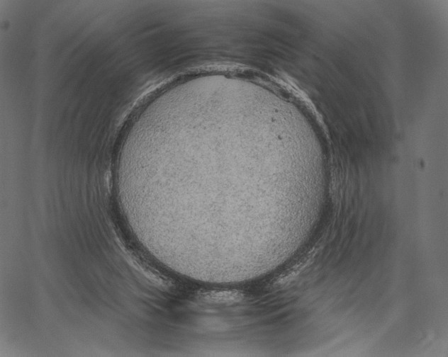 X0000066940063200604211800