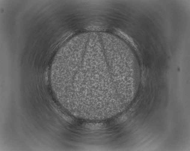 X0000066940065200604211800