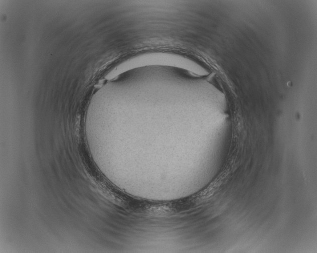 X0000066940066200604211800