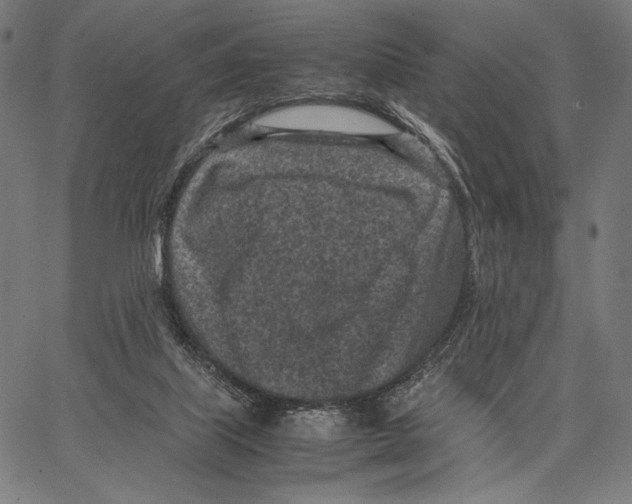 X0000066940067200604211800