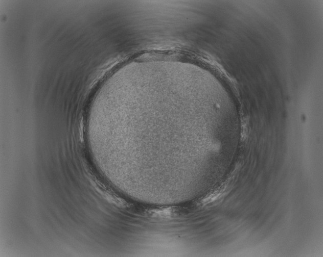 X0000066940068200604211800