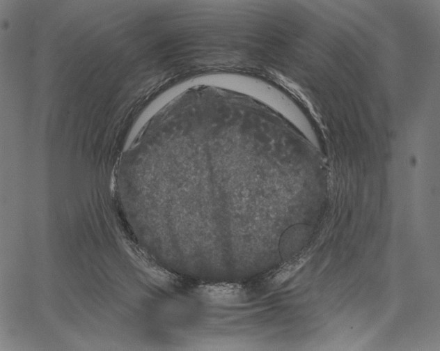 X0000066940069200604211800