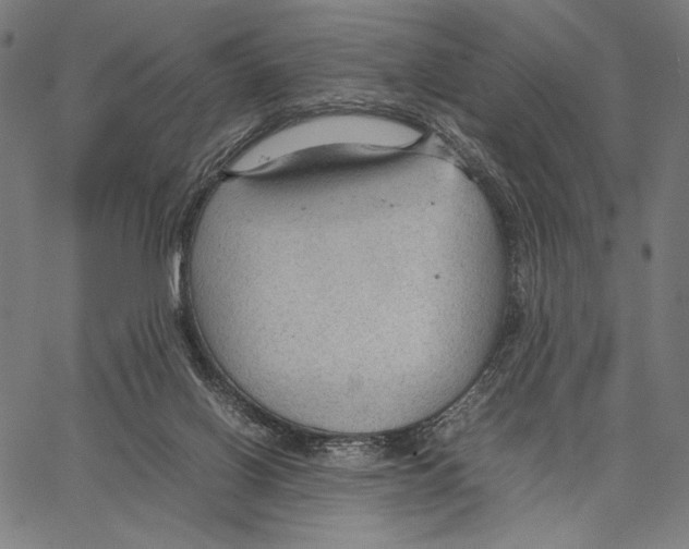 X0000066940070200604211800