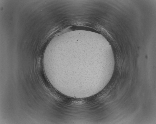 X0000066940071200604211800