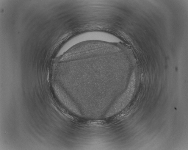 X0000066940072200604211800