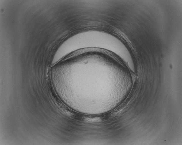 X0000066940073200604211800