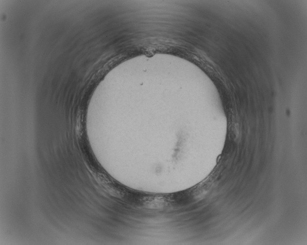 X0000066940074200604211800