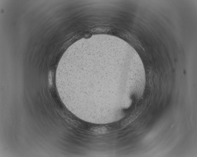 X0000066940075200604211800