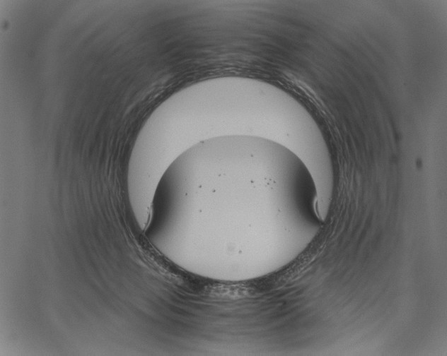 X0000066940077200604211800