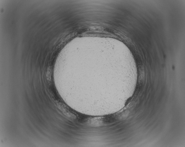 X0000066940078200604211800