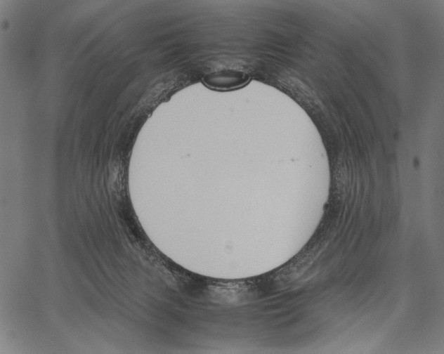 X0000066940079200604211800