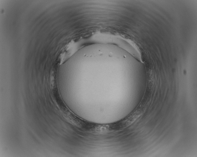 X0000066940080200604211800