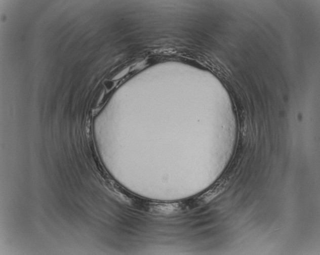 X0000066940081200604211800