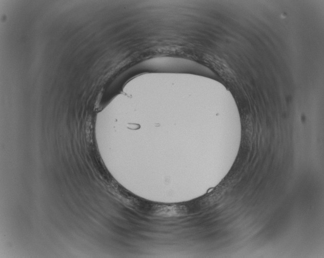 X0000066940083200604211800