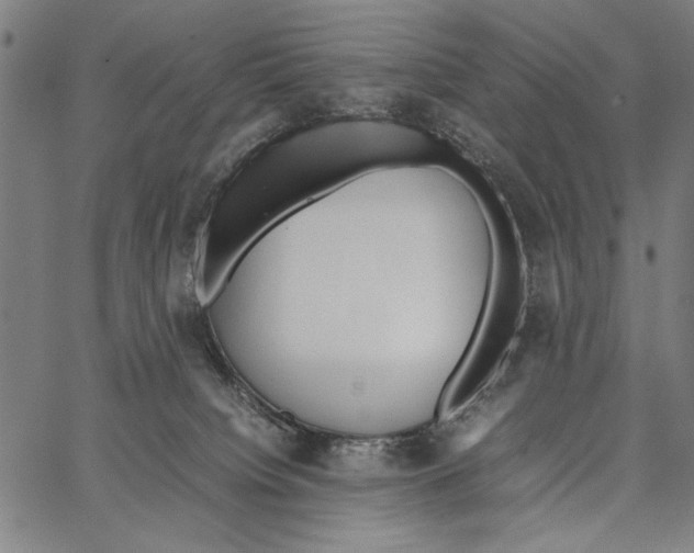 X0000066940084200604211800