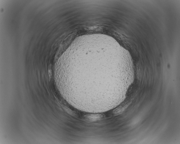 X0000066940085200604211801