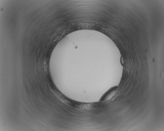 X0000066940086200604211801