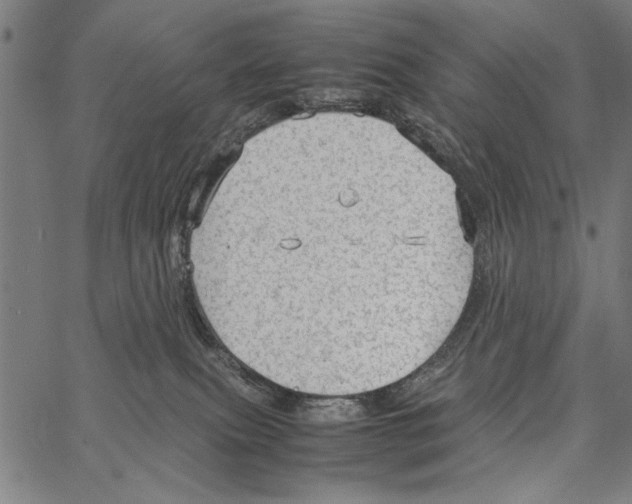 X0000066940087200604211801