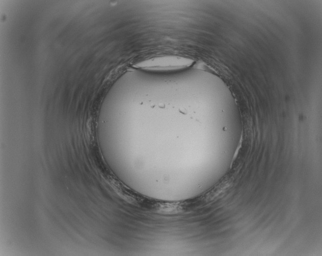 X0000066940088200604211801