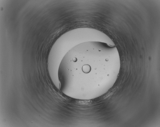 X0000066940089200604211801